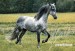 72bd20171d_13833439_o2.jpg